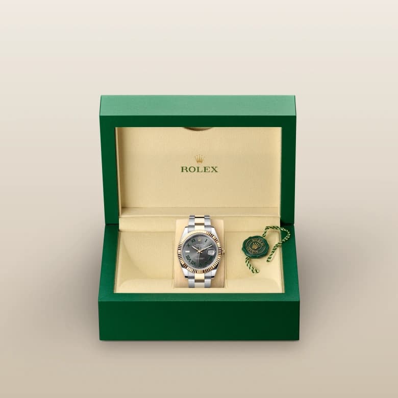 Model gallery image 3