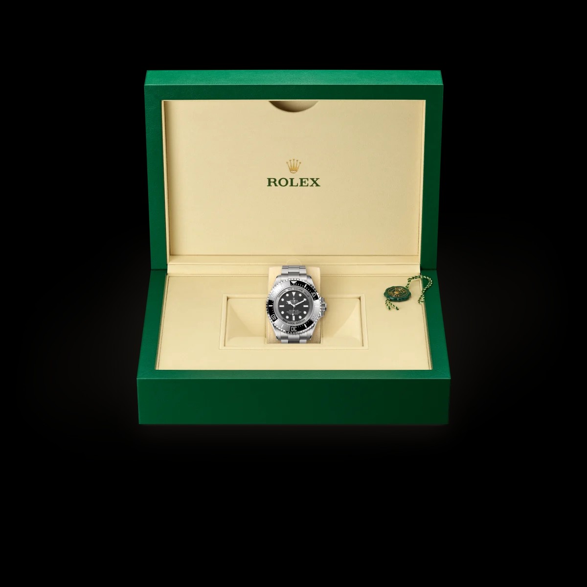 Rolex watch box