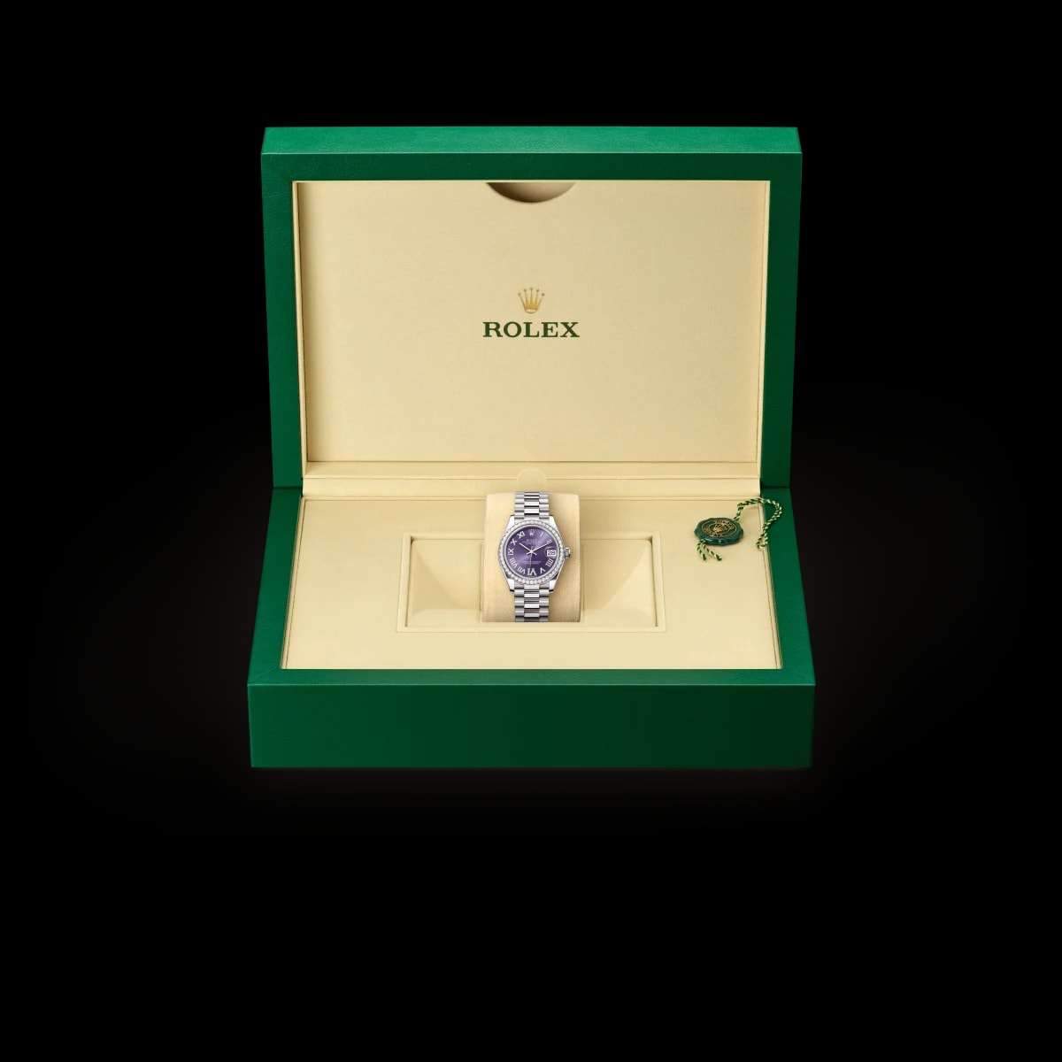 Rolex watch box