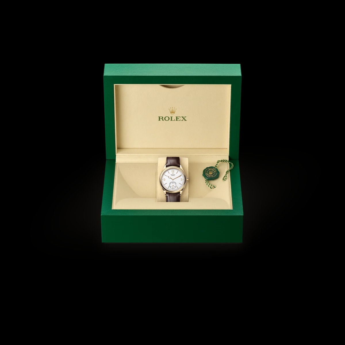 Rolex watch box