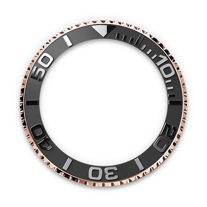 Bidirectioneel draaibare bezel