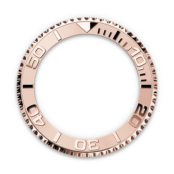 Bidirectioneel draaibare bezel