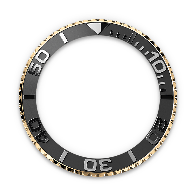 Bidirectioneel draaibare bezel